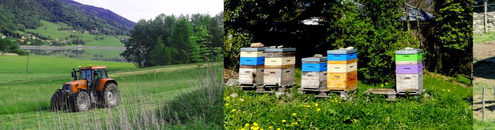 Bandeau - Agriculture