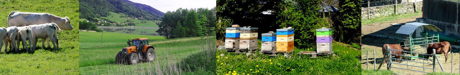 Bandeau - Agriculture