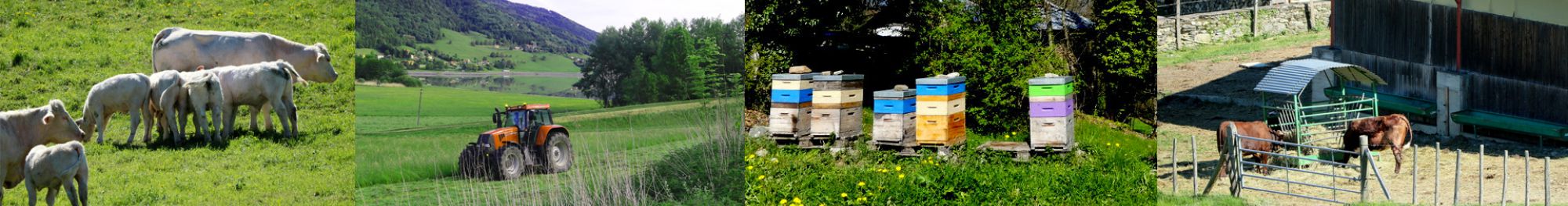 Bandeau - Agriculture