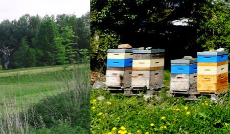 Bandeau - Agriculture