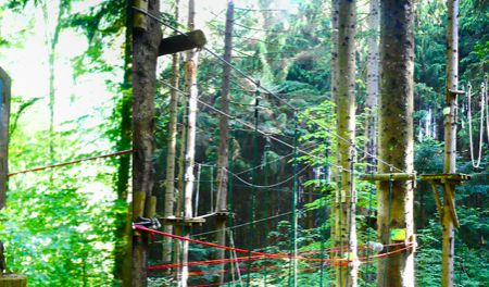 Bandeau - Accrobranche