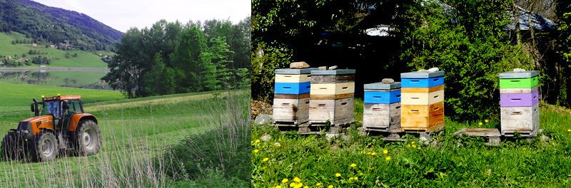 Bandeau - Agriculture