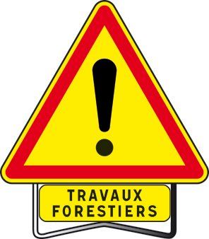 Visuel attention travaux forestiers