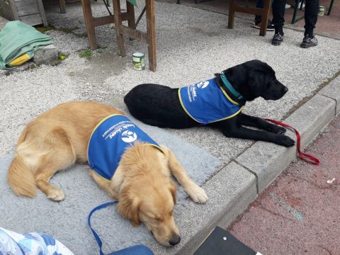 Délégation Handi'chiens Grenoble foire de la pivoine 30 mars 2024