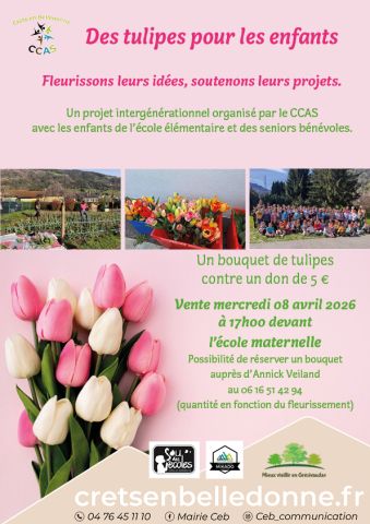 Tulipes