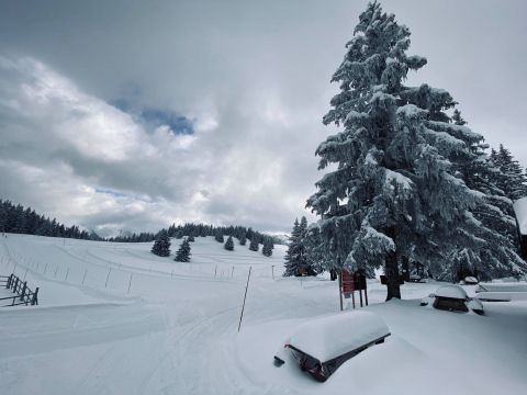 Refuge du Crêt du poulet