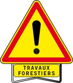 Visuel attention travaux forestiers