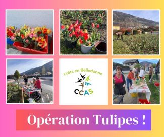 Opération tulipes contre le syndrome de Rett